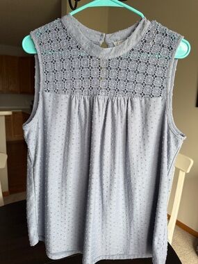 Daniel Rainn Sleeveless Lace Yoke Top in Light Gray